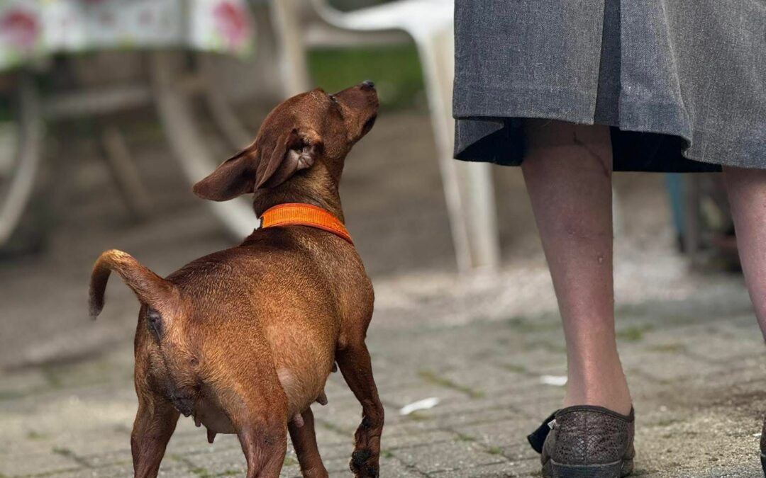 Foto del mese (luglio 2025)