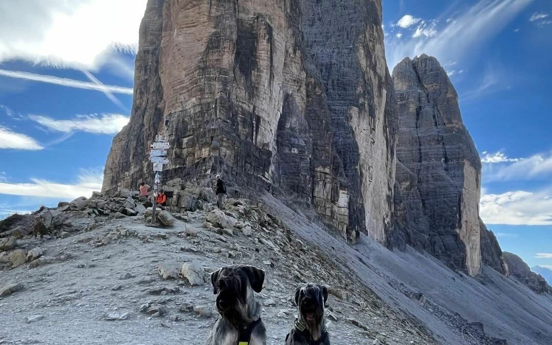 Foto del mese (ottobre 2025)