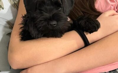 Foto del mese (dicembre 2025)